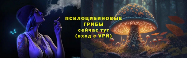 2c-b Абаза